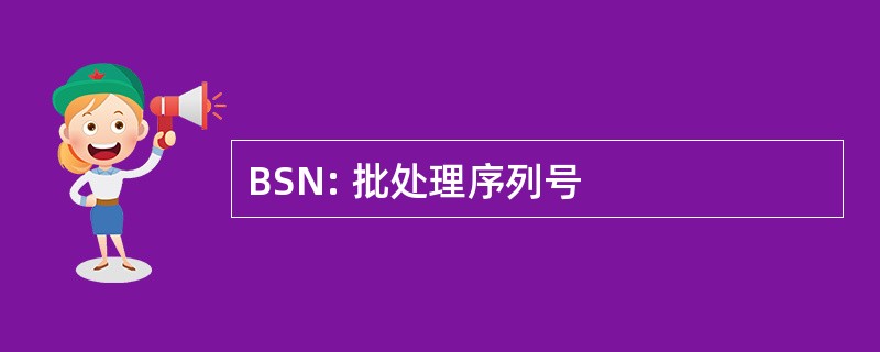 BSN: 批处理序列号