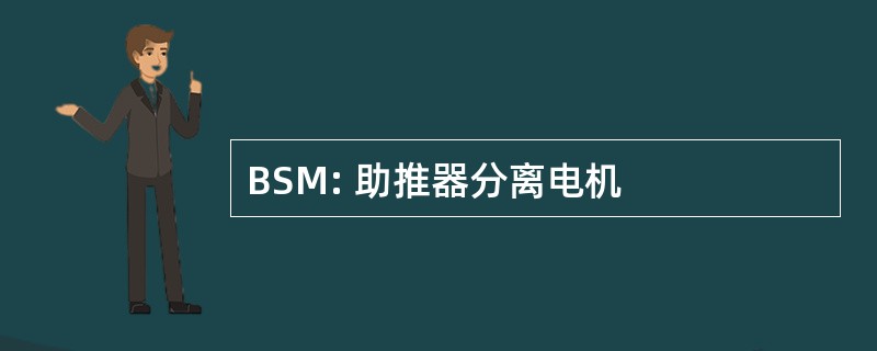 BSM: 助推器分离电机