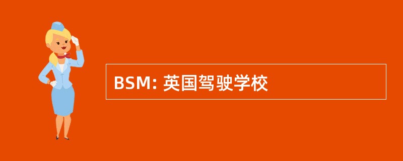 BSM: 英国驾驶学校