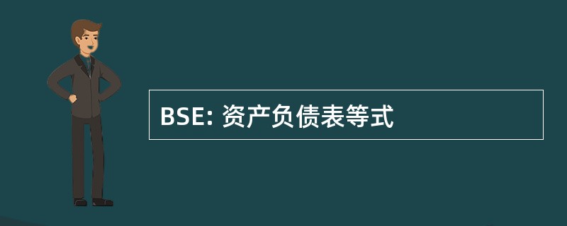 BSE: 资产负债表等式