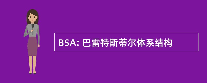 BSA: 巴雷特斯蒂尔体系结构