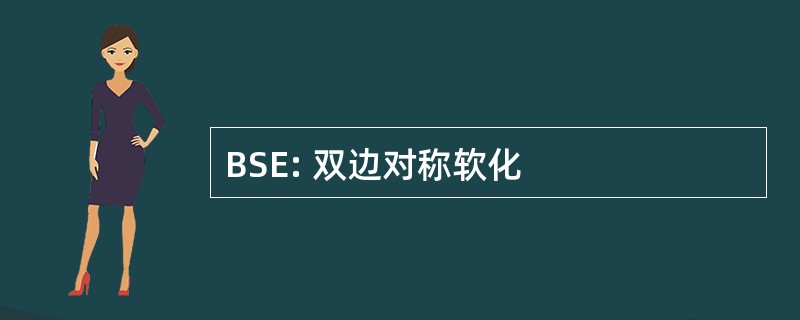 BSE: 双边对称软化