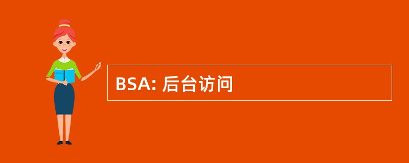 BSA: 后台访问