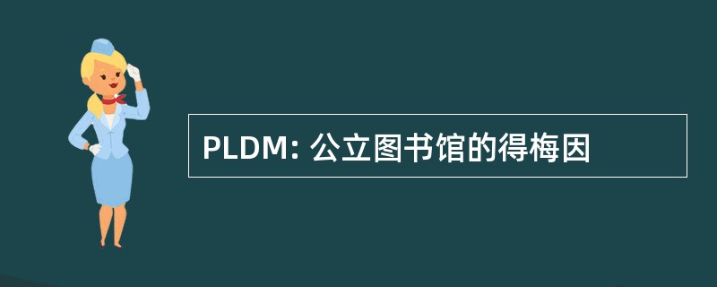 PLDM: 公立图书馆的得梅因