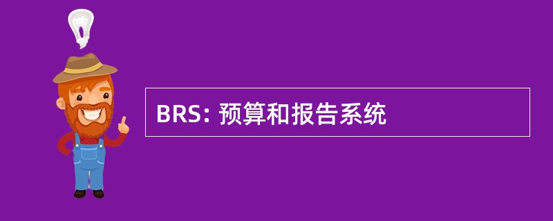 BRS: 预算和报告系统