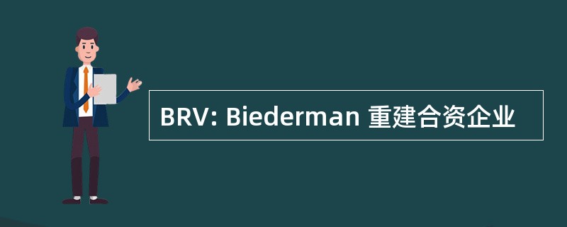 BRV: Biederman 重建合资企业