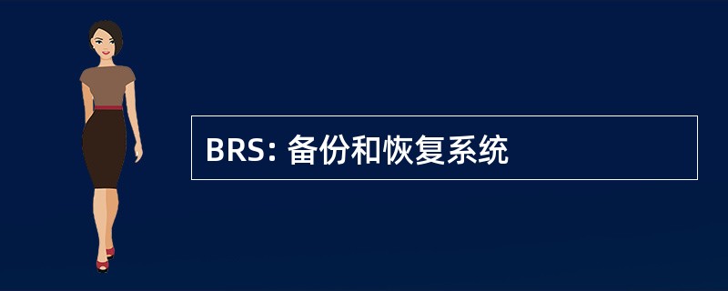 BRS: 备份和恢复系统