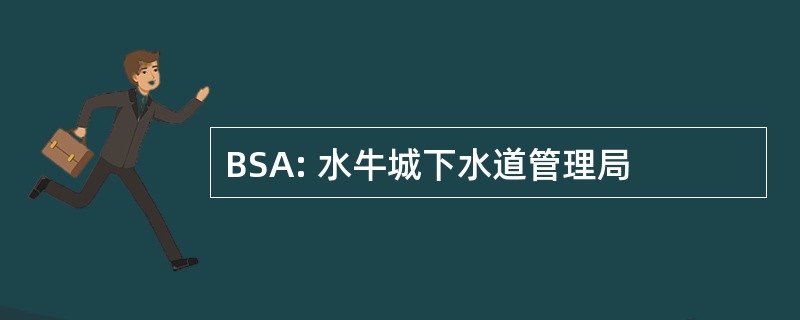 BSA: 水牛城下水道管理局