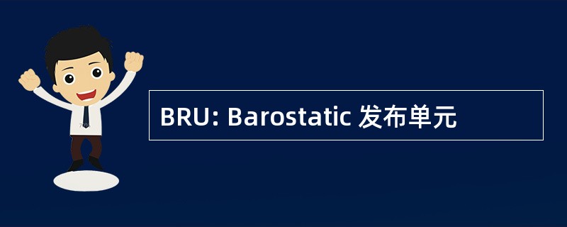 BRU: Barostatic 发布单元