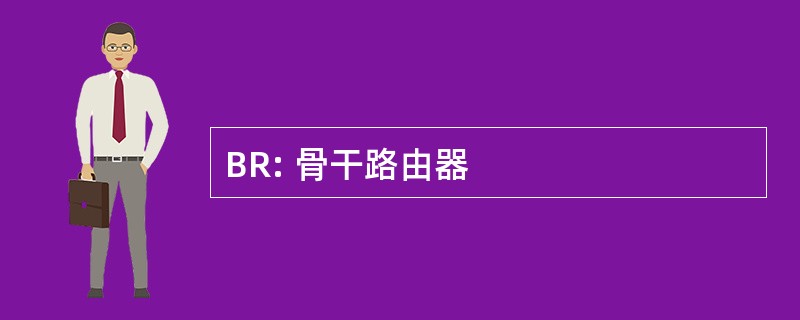 BR: 骨干路由器