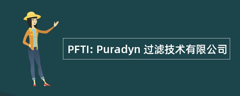 PFTI: Puradyn 过滤技术有限公司