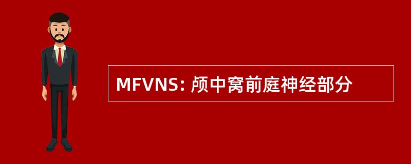 MFVNS: 颅中窝前庭神经部分