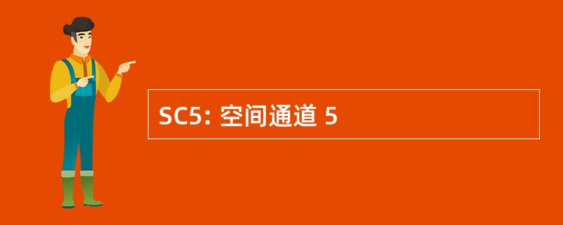 SC5: 空间通道 5