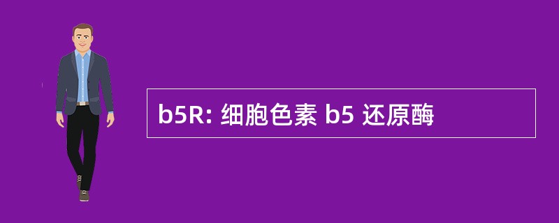 b5R: 细胞色素 b5 还原酶