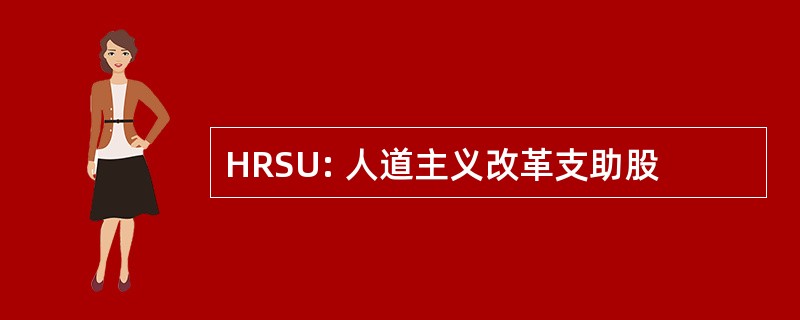 HRSU: 人道主义改革支助股