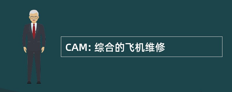 CAM: 综合的飞机维修