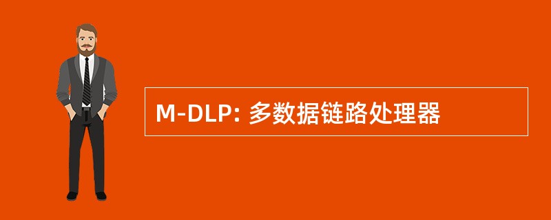 M-DLP: 多数据链路处理器