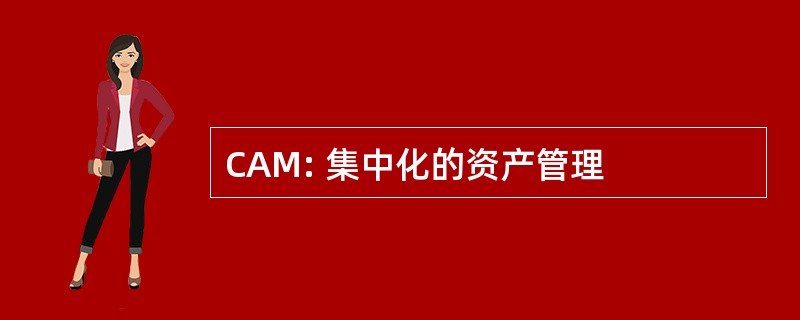 CAM: 集中化的资产管理