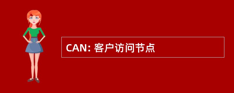 CAN: 客户访问节点