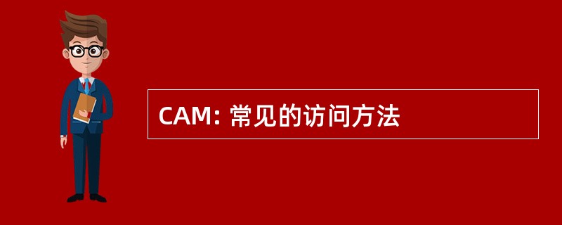 CAM: 常见的访问方法