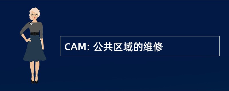 CAM: 公共区域的维修