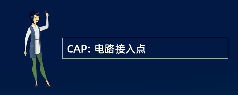 CAP: 电路接入点