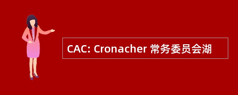 CAC: Cronacher 常务委员会湖