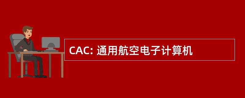 CAC: 通用航空电子计算机