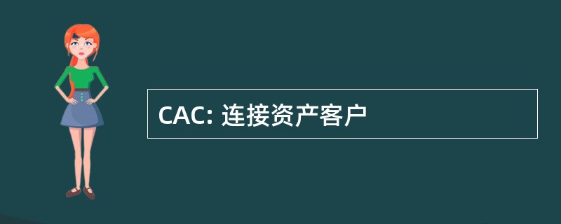 CAC: 连接资产客户