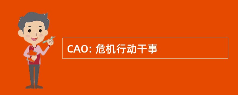 CAO: 危机行动干事