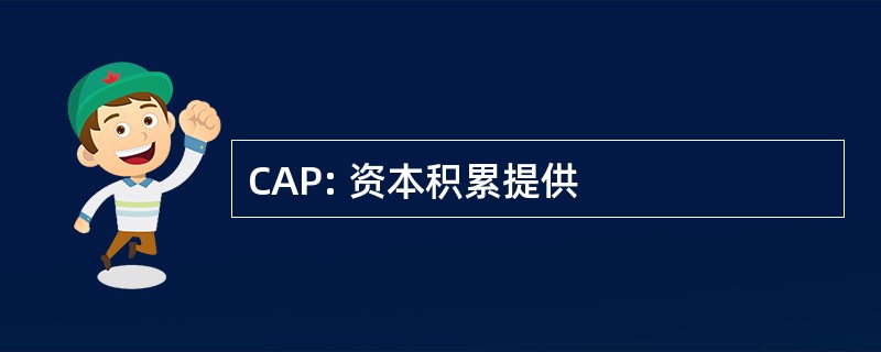 CAP: 资本积累提供