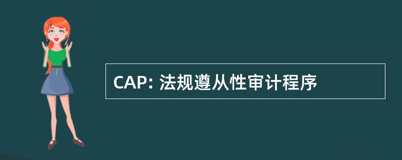 CAP: 法规遵从性审计程序