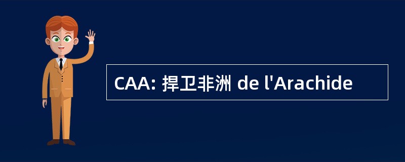 CAA: 捍卫非洲 de l&#039;Arachide