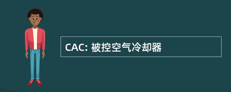 CAC: 被控空气冷却器