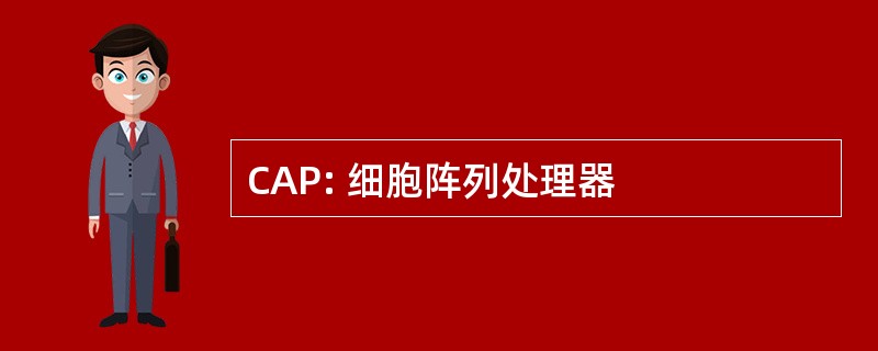 CAP: 细胞阵列处理器