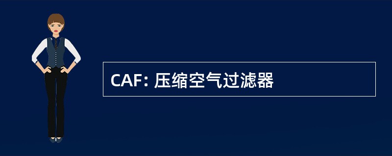 CAF: 压缩空气过滤器