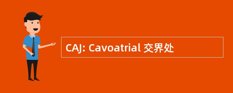 CAJ: Cavoatrial 交界处