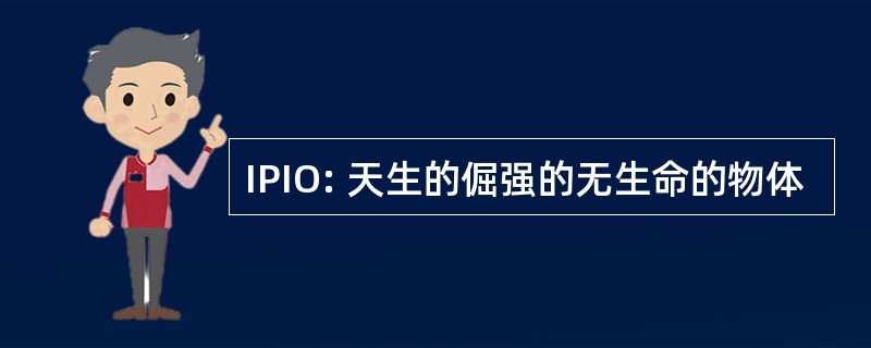 IPIO: 天生的倔强的无生命的物体