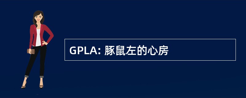 GPLA: 豚鼠左的心房