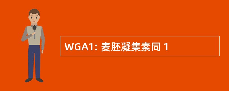 WGA1: 麦胚凝集素同 1