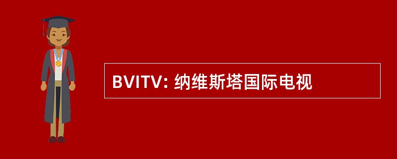 BVITV: 纳维斯塔国际电视