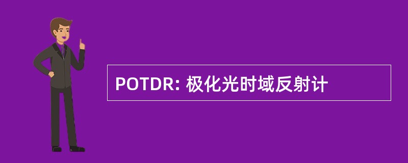 POTDR: 极化光时域反射计