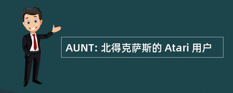 AUNT: 北得克萨斯的 Atari 用户