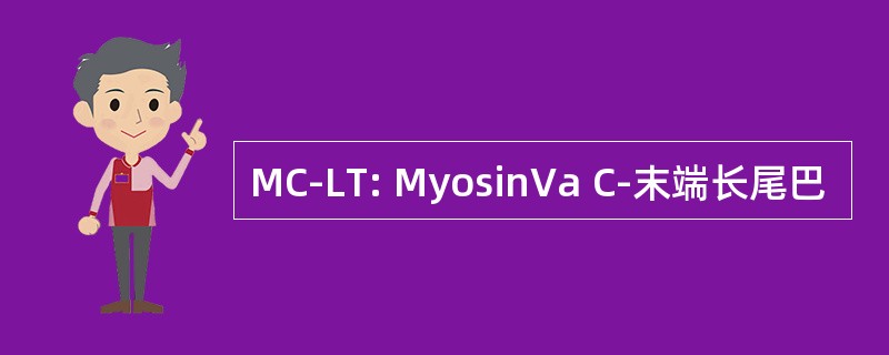 MC-LT: MyosinVa C-末端长尾巴