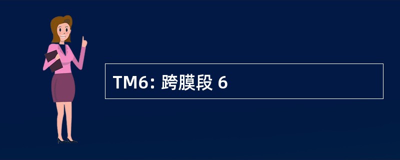 TM6: 跨膜段 6