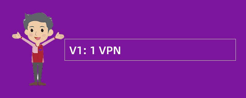 V1: 1 VPN