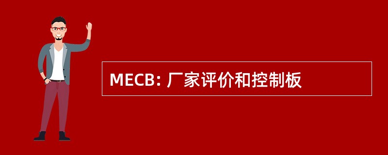 MECB: 厂家评价和控制板