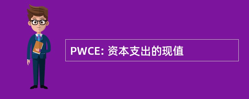 PWCE: 资本支出的现值