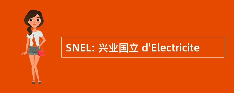 SNEL: 兴业国立 d&#039;Electricite