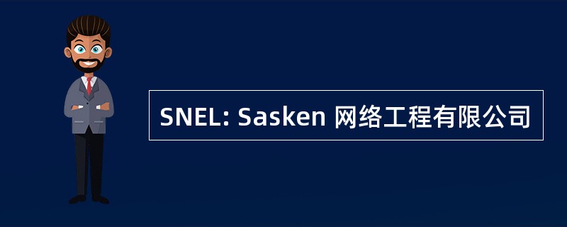 SNEL: Sasken 网络工程有限公司